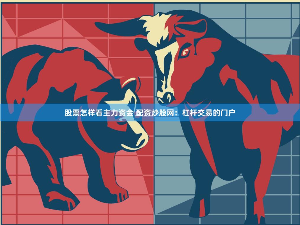 股票怎样看主力资金 配资炒股网：杠杆交易的门户