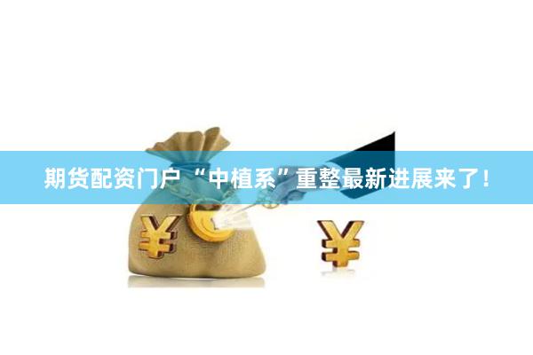 期货配资门户 “中植系”重整最新进展来了！