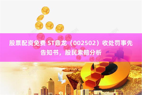 股票配资免费 ST鼎龙（002502）收处罚事先告知书，股民索赔分析