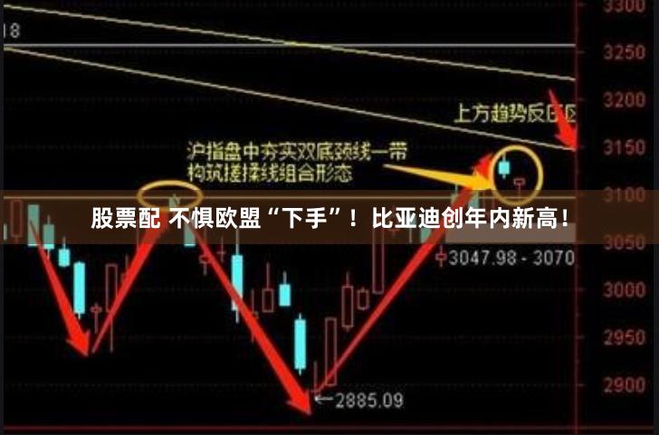 股票配 不惧欧盟“下手”！比亚迪创年内新高！