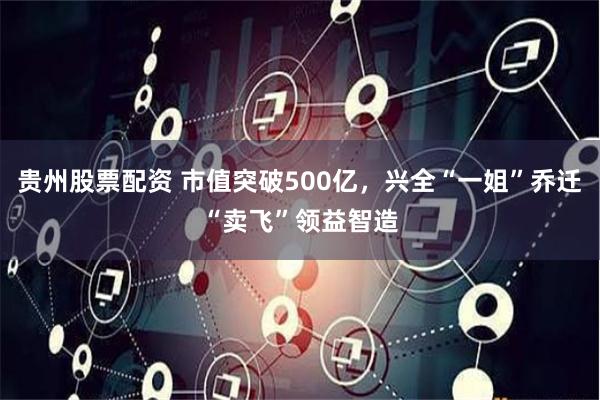 贵州股票配资 市值突破500亿，兴全“一姐”乔迁“卖飞”领益智造