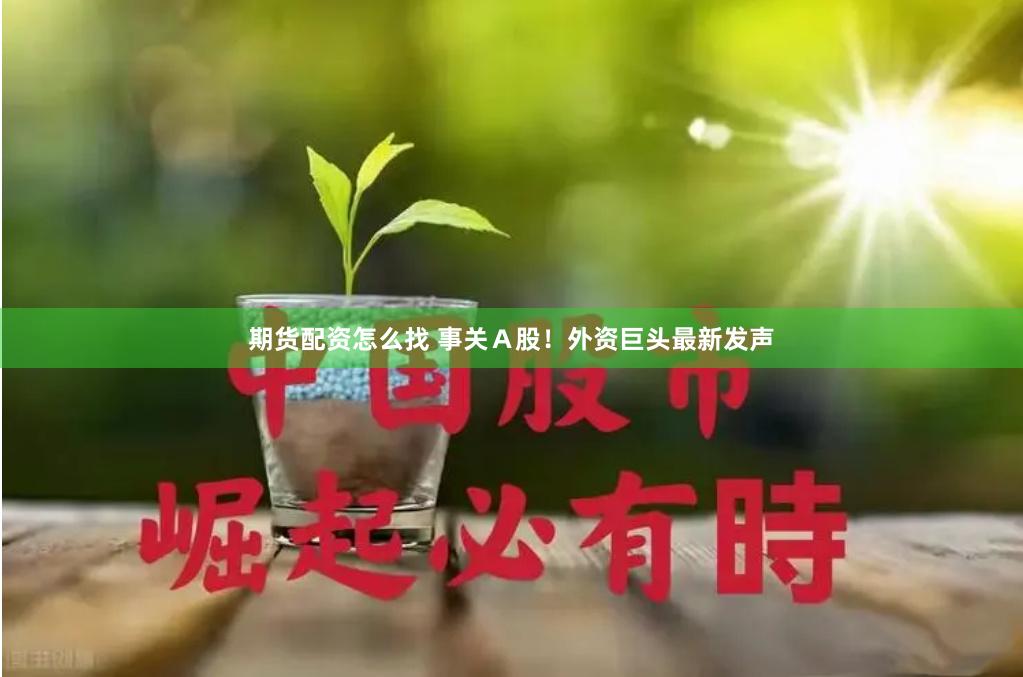 期货配资怎么找 事关Ａ股！外资巨头最新发声